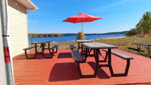 whatsapp_image_2025-10-04_at_12